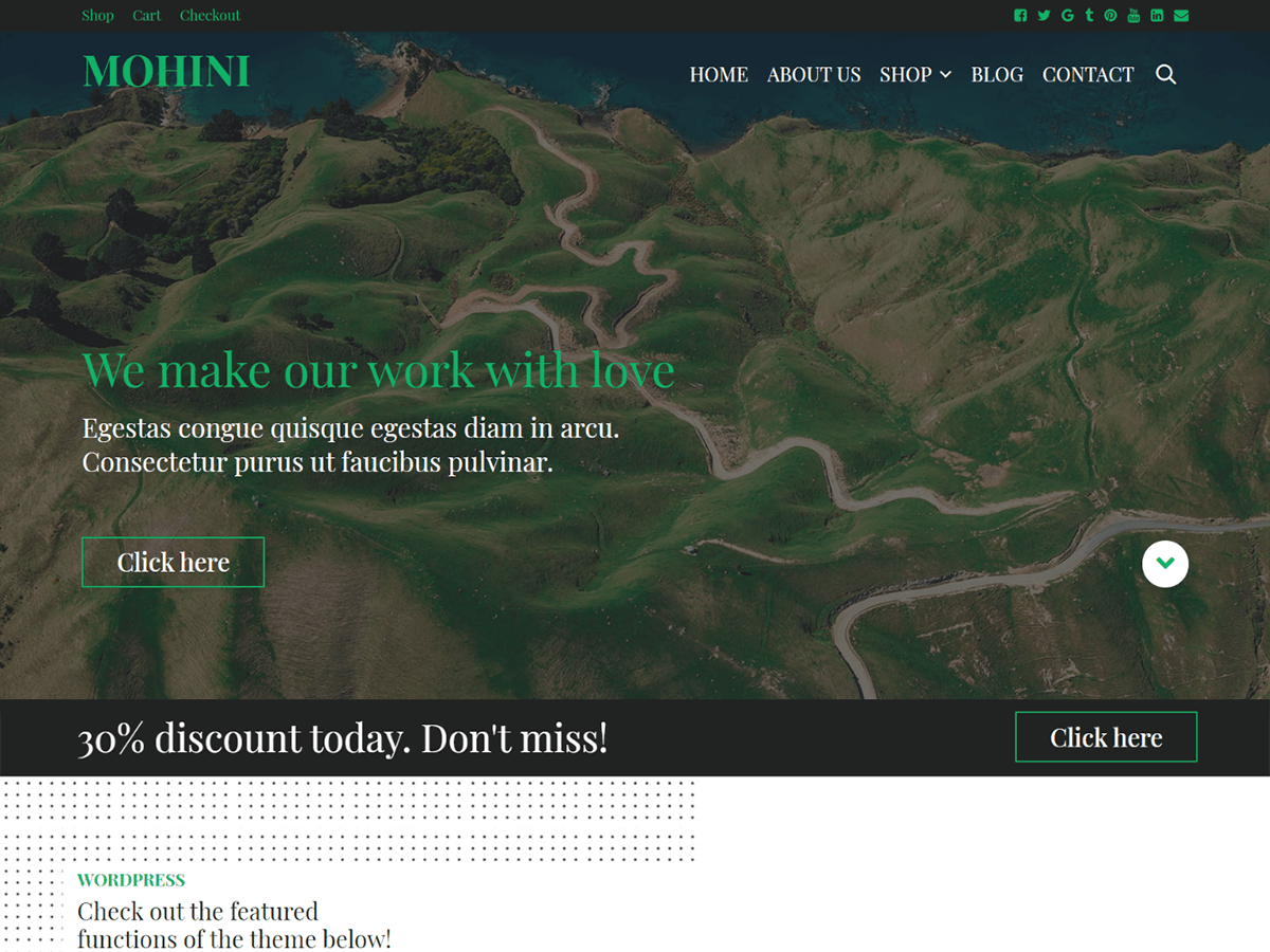 Mohini theme screenshot