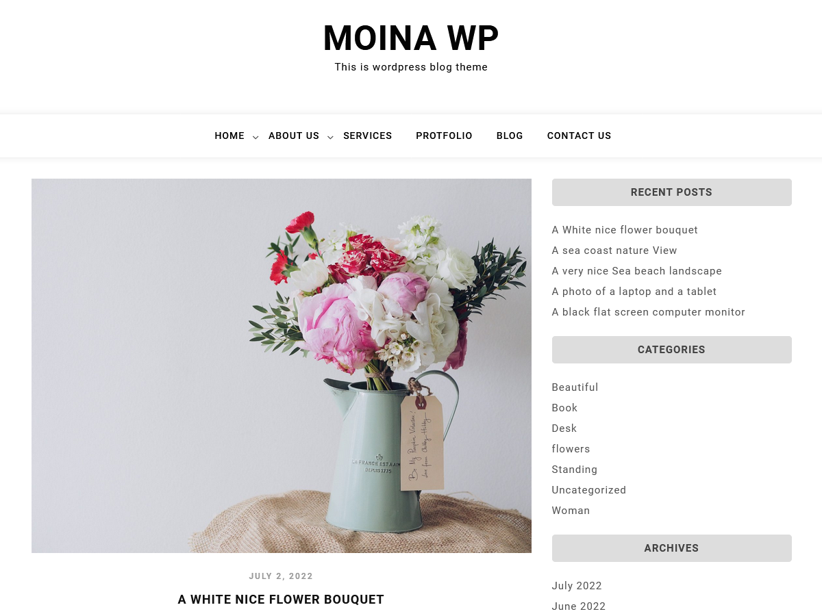 Moina Wp theme screenshot