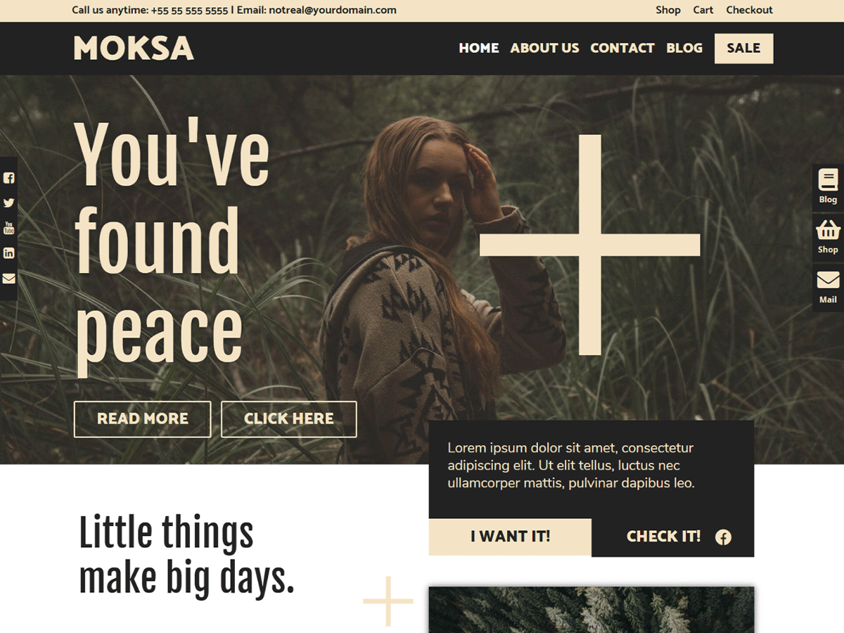 Moksa theme screenshot