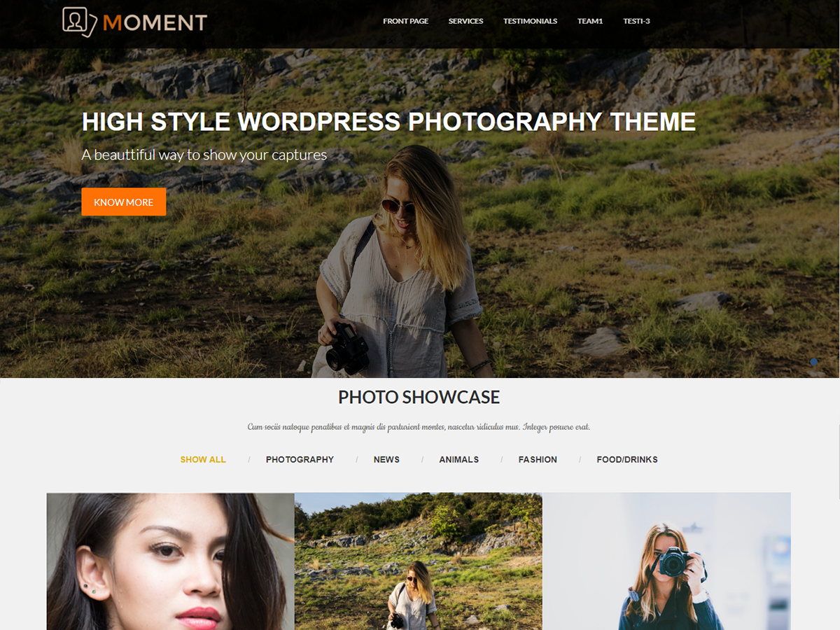 Moment theme screenshot