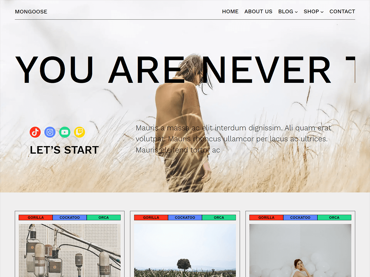 Mongoose theme screenshot