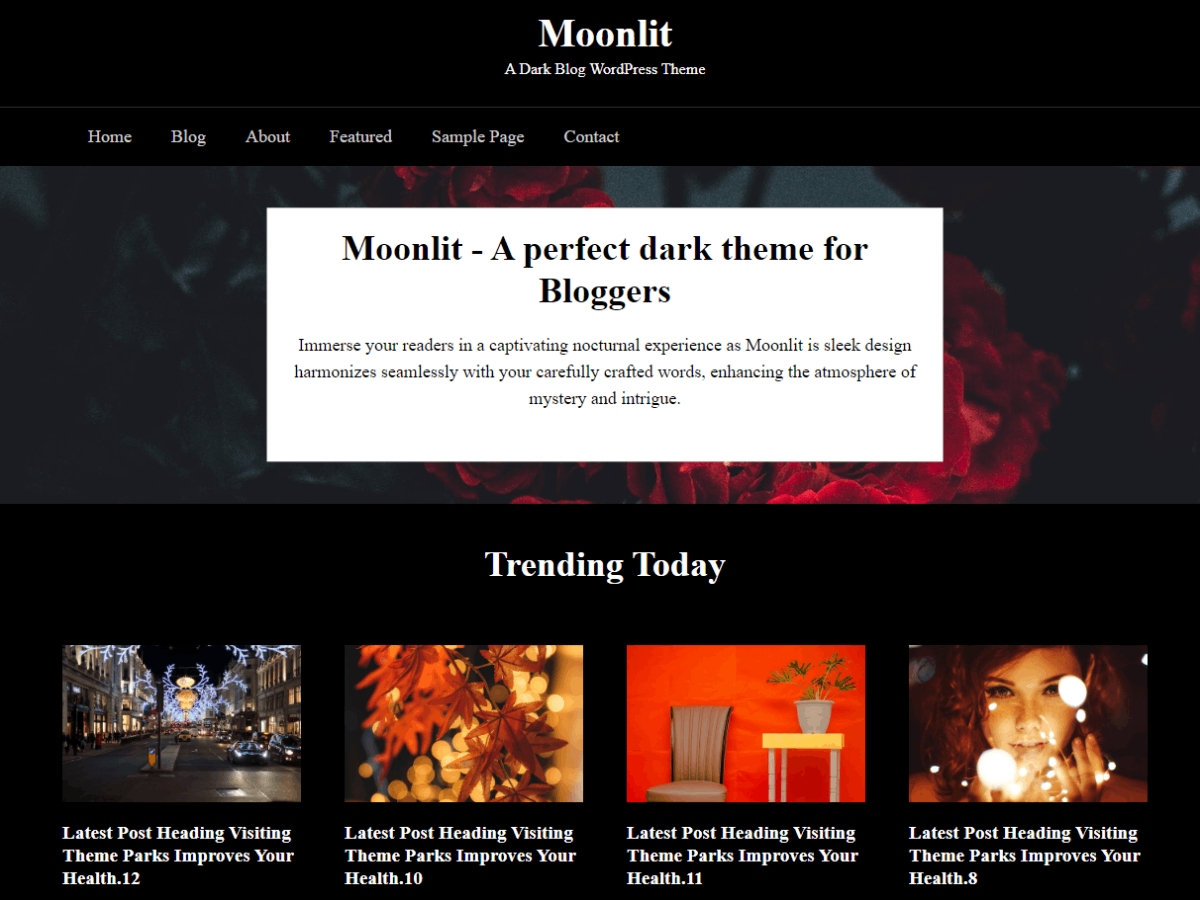 Moonlit Dark theme screenshot