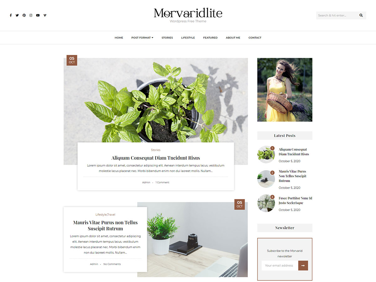 Morvaridlite theme screenshot