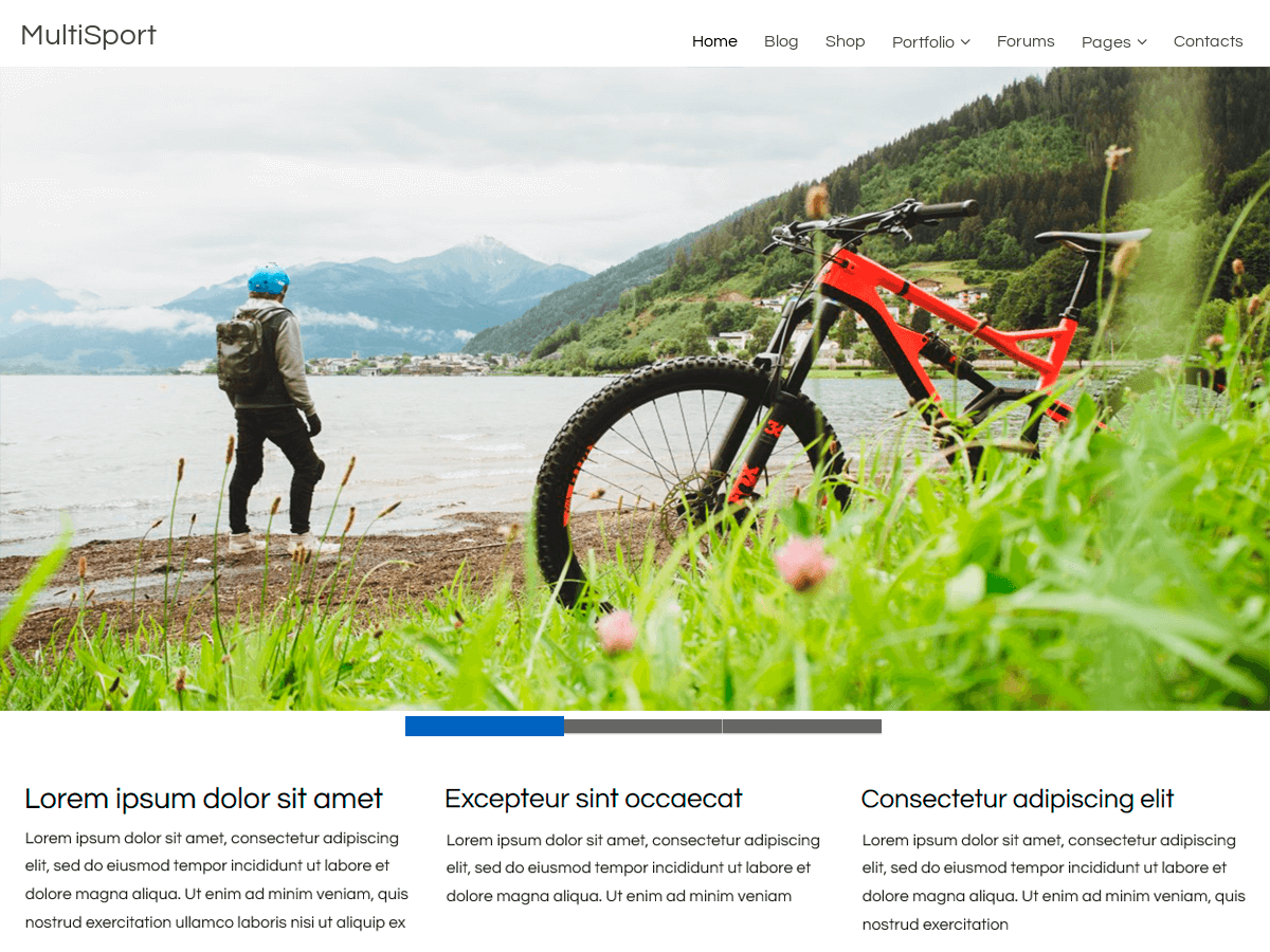 MultiSport theme screenshot