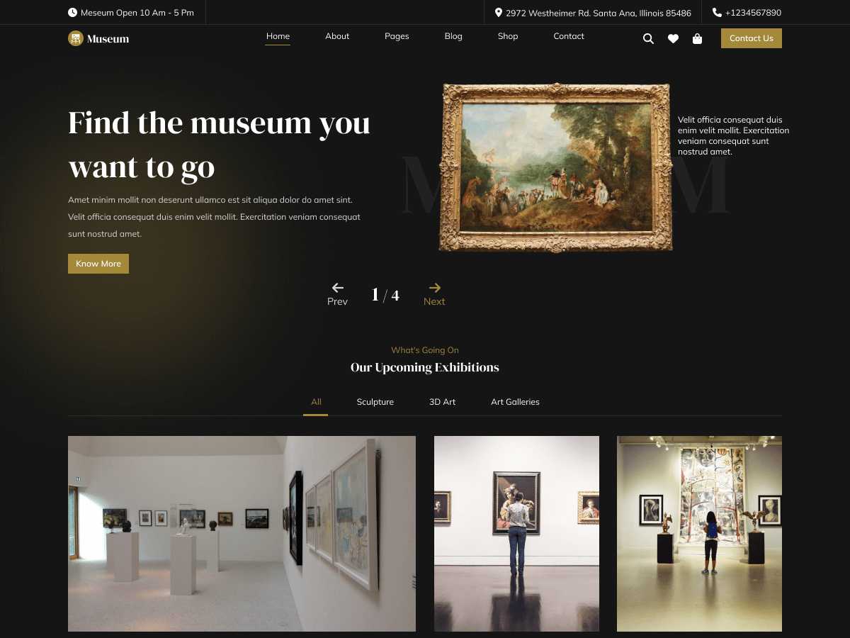 Museum Exhibition theme screenshot