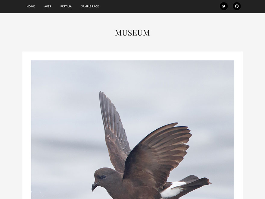 Museum theme screenshot
