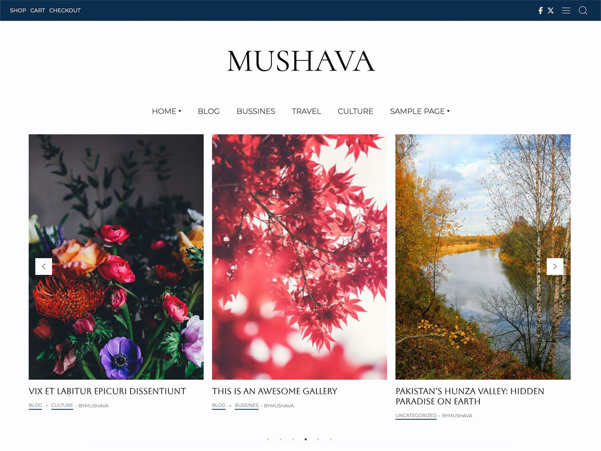 Mushava Magazine Blog theme screenshot