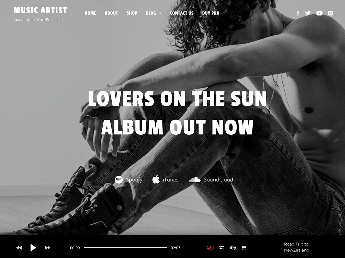 Music Artist theme screenshot