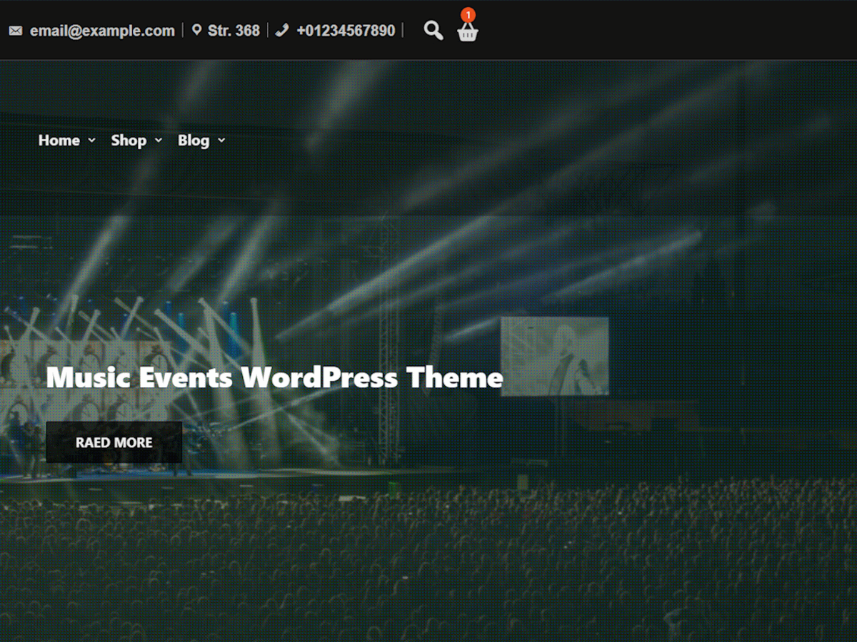 Music Events theme screenshot