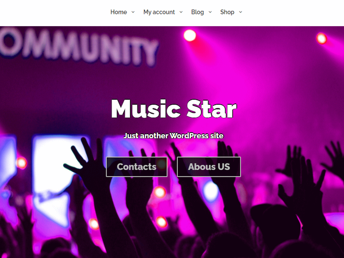 Music Star theme screenshot