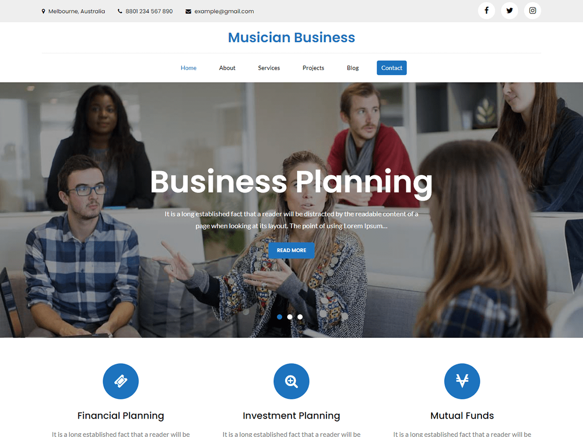 Musician Business theme screenshot
