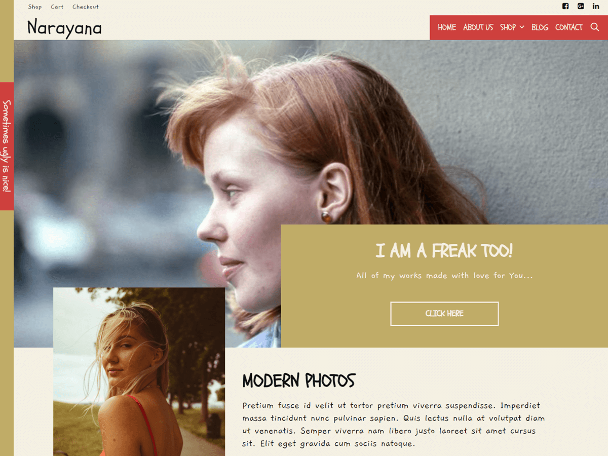 Narayana theme screenshot