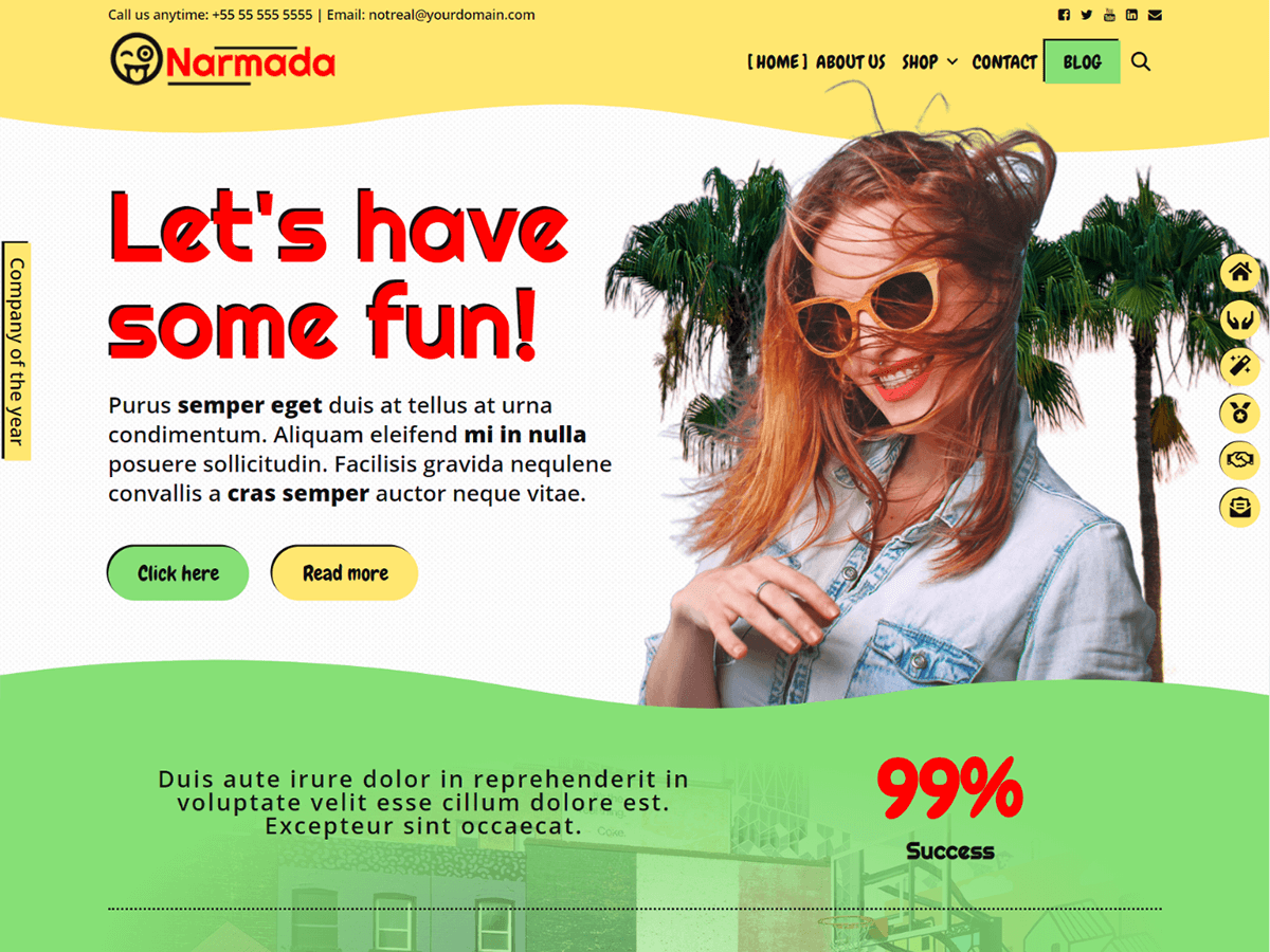 Narmada theme screenshot