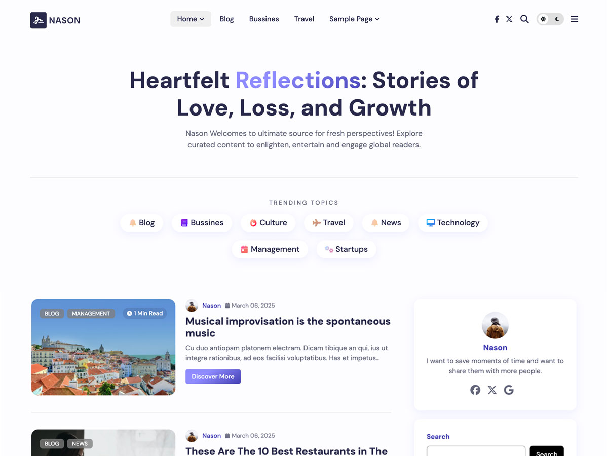Nason Magazine Blog theme screenshot