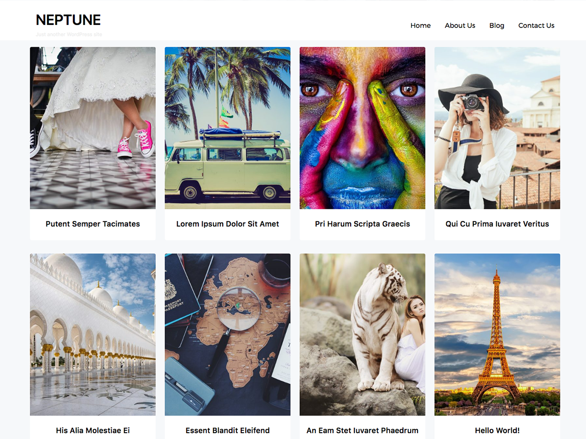 Neptune Portfolio theme screenshot