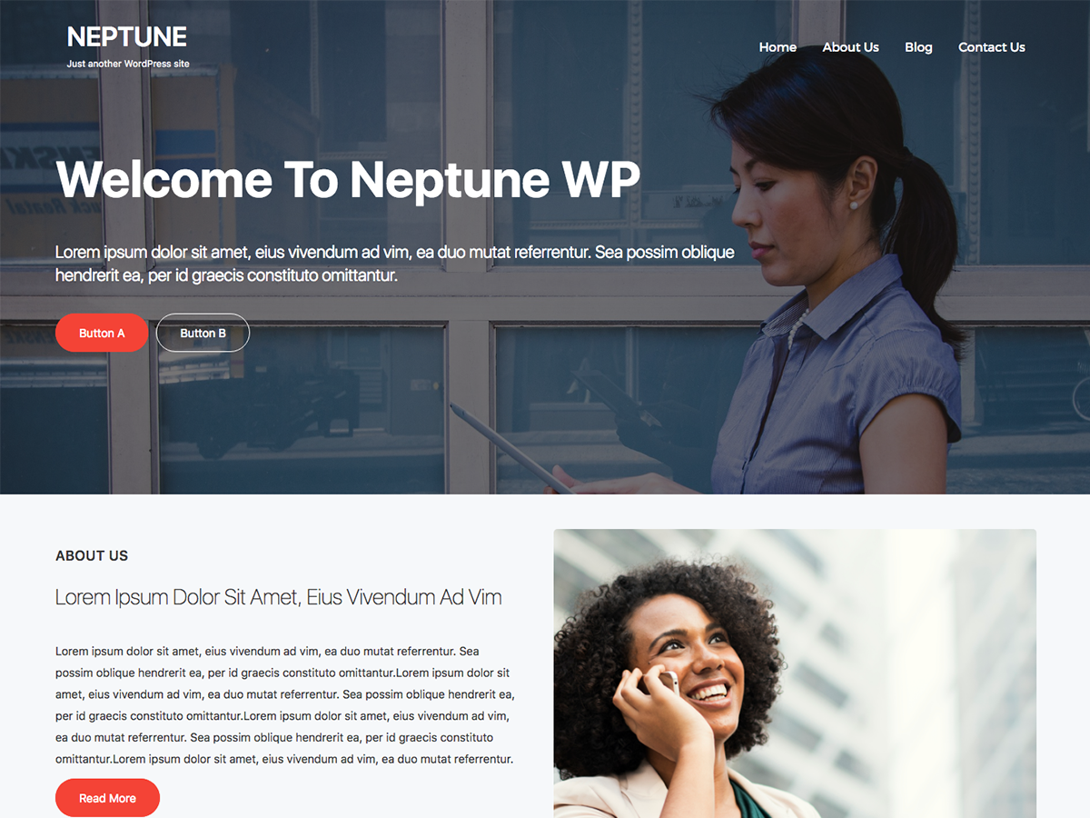 Neptune WP theme screenshot