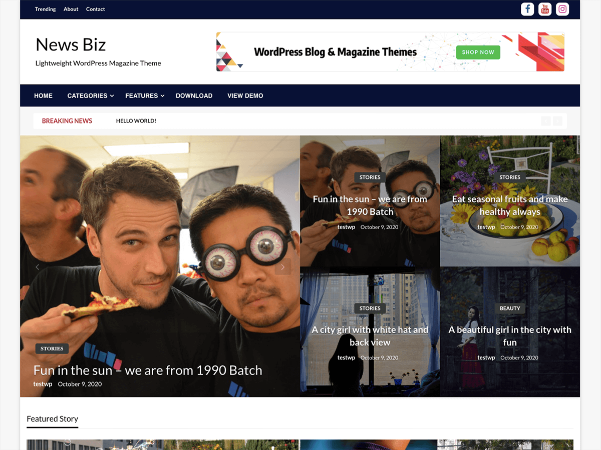 News Biz theme screenshot