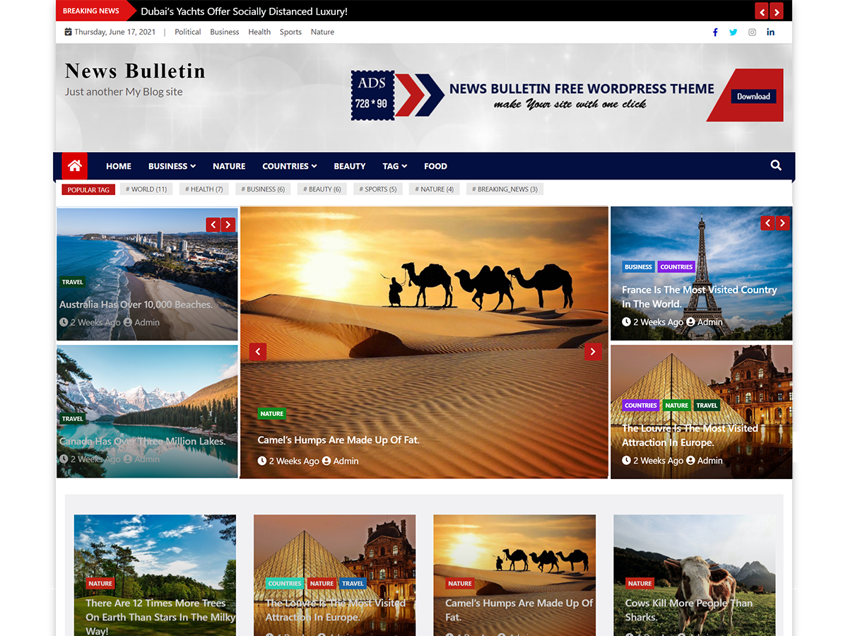 News Bulletin theme screenshot
