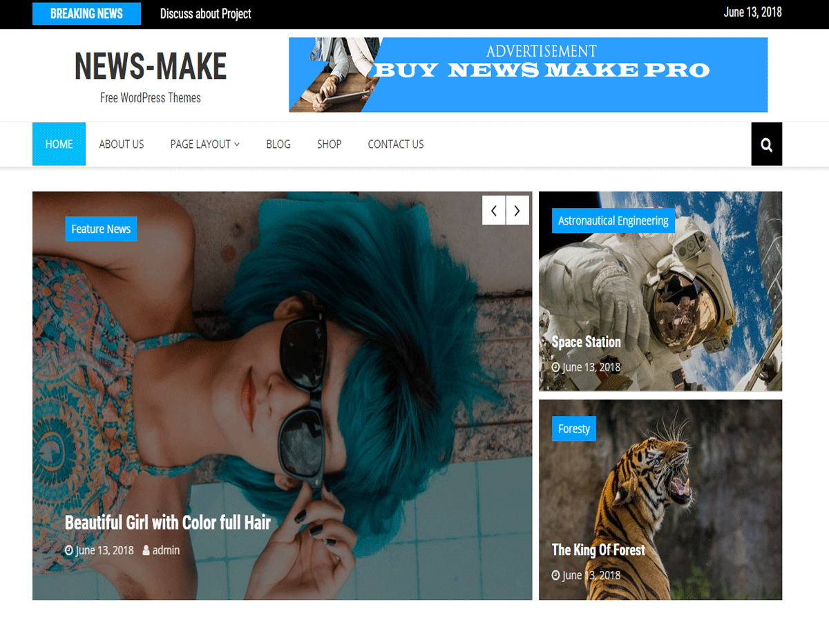 News Make theme screenshot