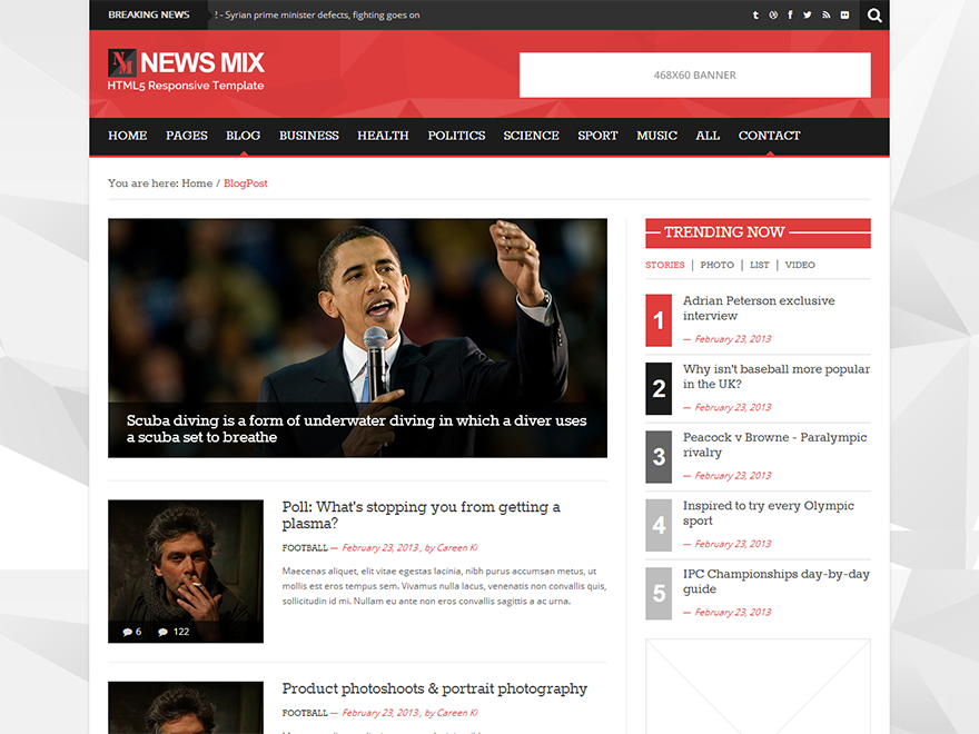 News Mix Lite theme screenshot