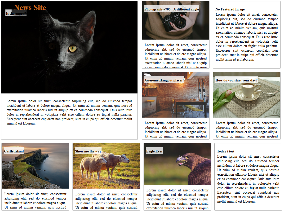 News Site theme screenshot