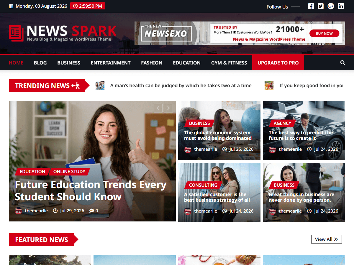 News Spark theme screenshot