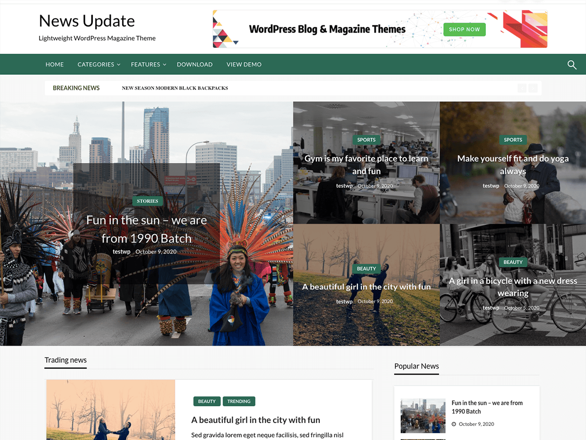 News Update theme screenshot