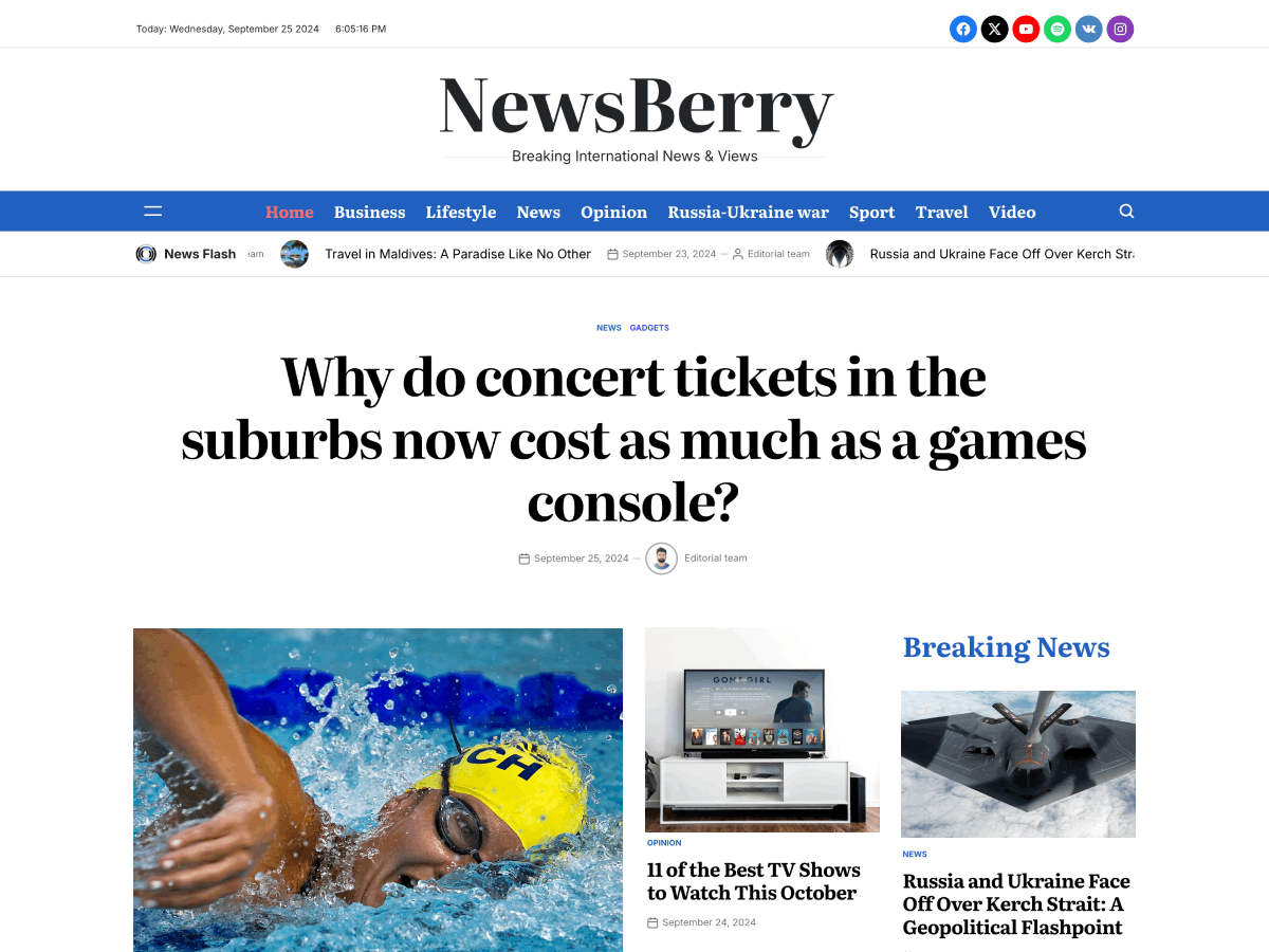 NewsBerry theme screenshot