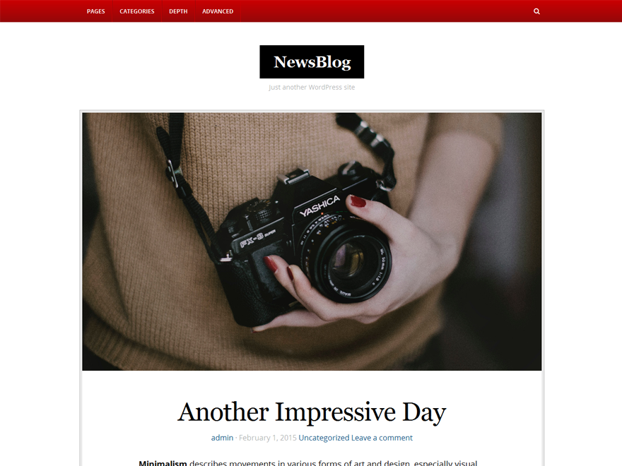 NewsBlog theme screenshot