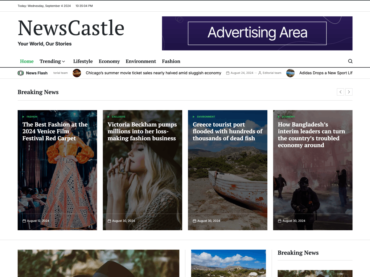 NewsCastle theme screenshot