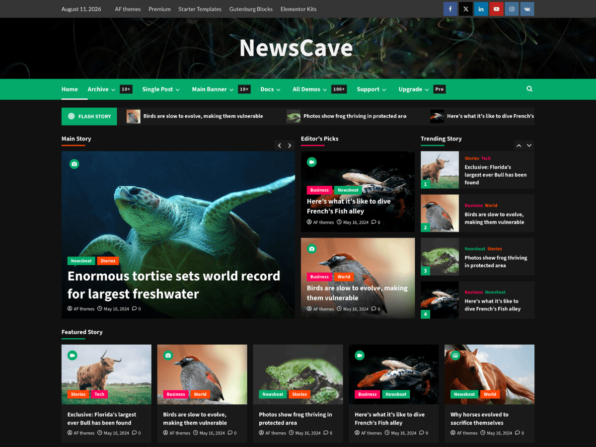 NewsCave theme screenshot