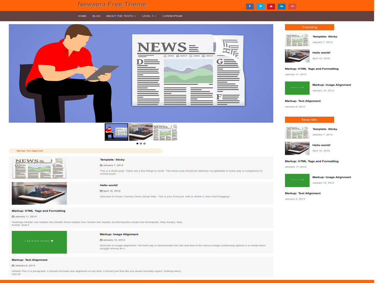 newsera theme screenshot