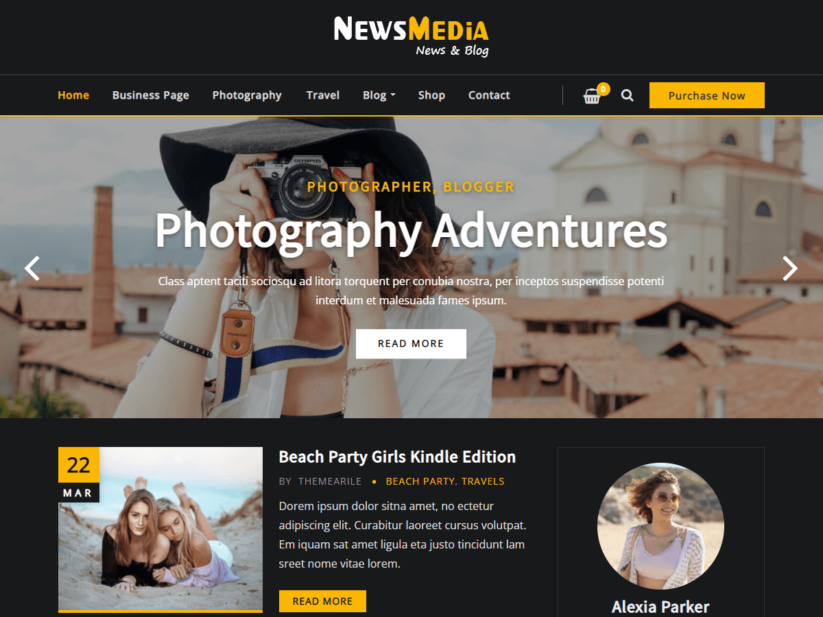NewsMedia theme screenshot