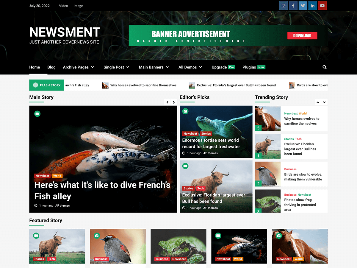 Newsment theme screenshot