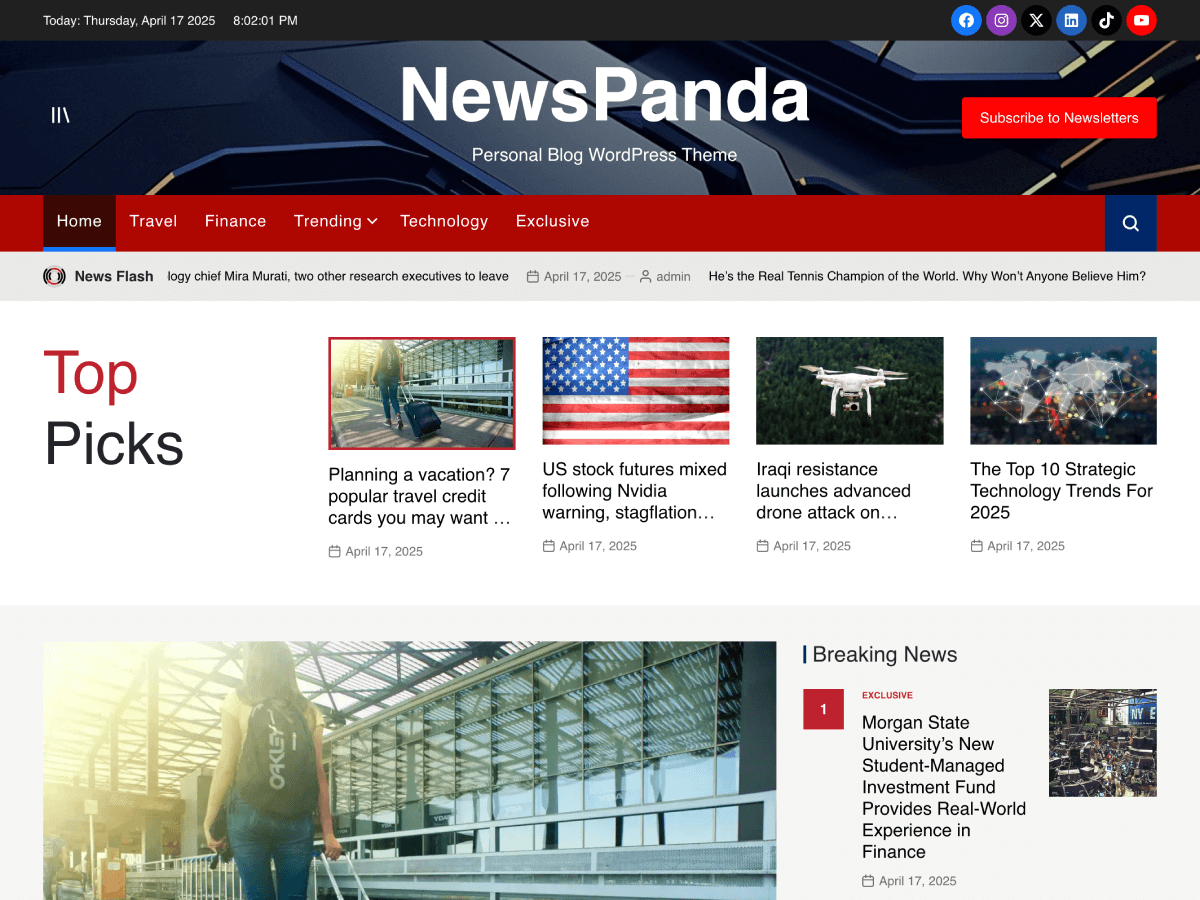 NewsPanda theme screenshot