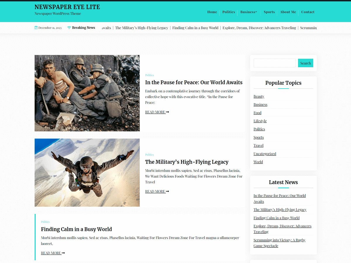Newspaper Eye Lite theme screenshot