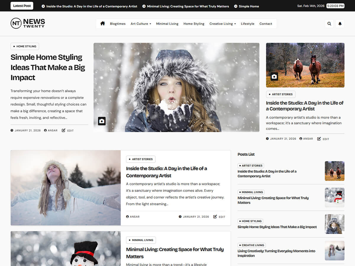 NewsTwenty theme screenshot