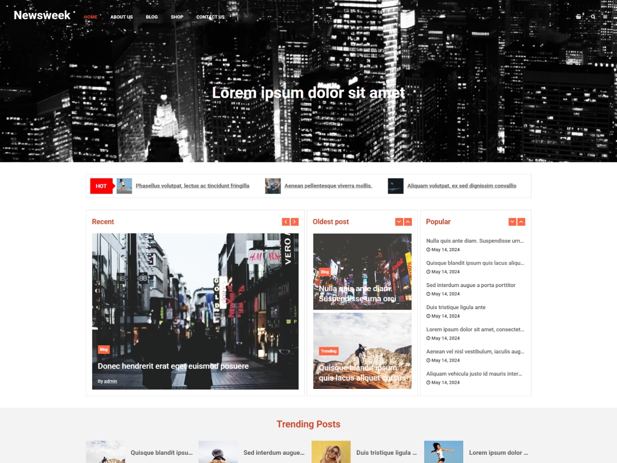 Newsweek theme screenshot