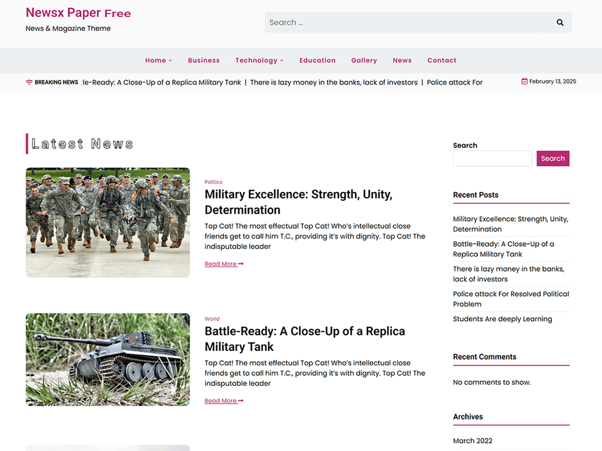 Newsx Paper Free theme screenshot