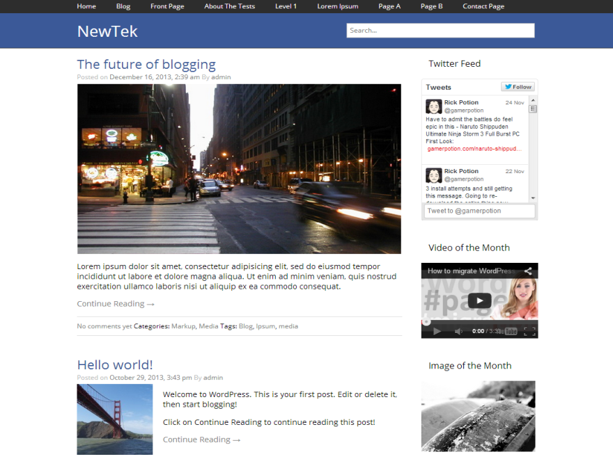NewTek theme screenshot