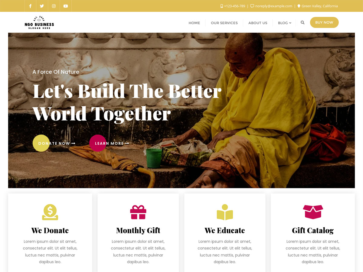 NGO Business theme screenshot
