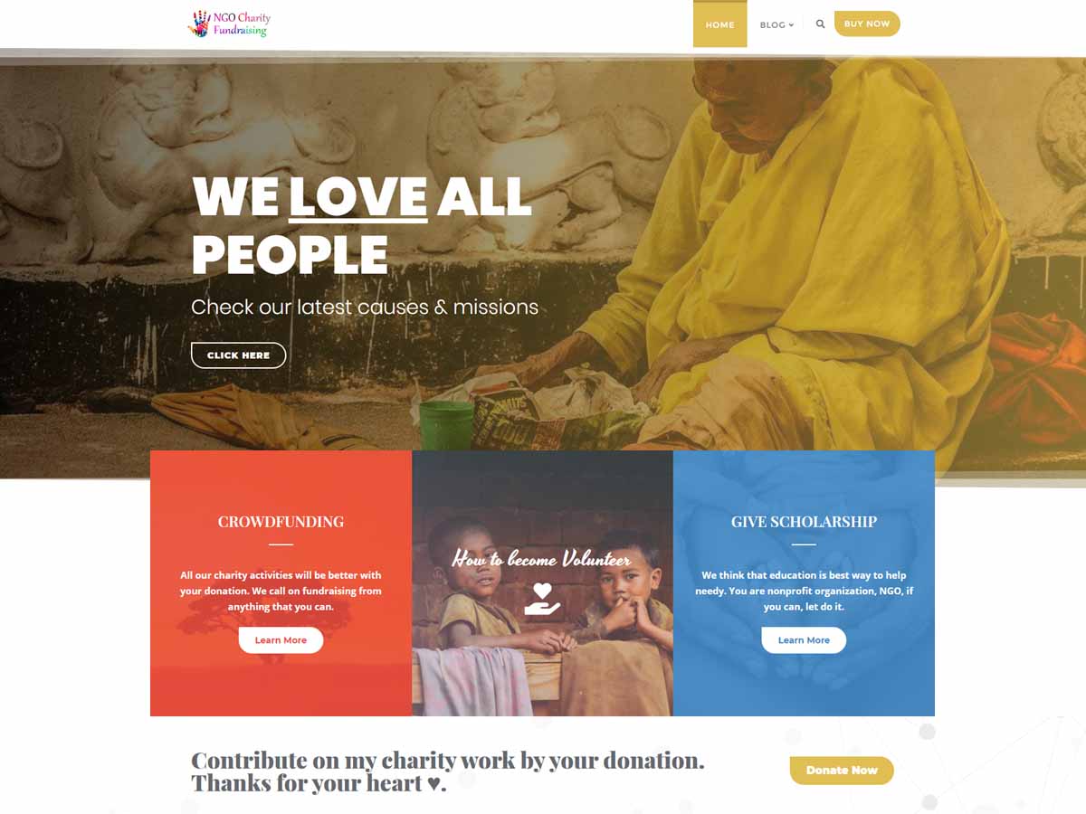 NGO Charity Fundraising theme screenshot