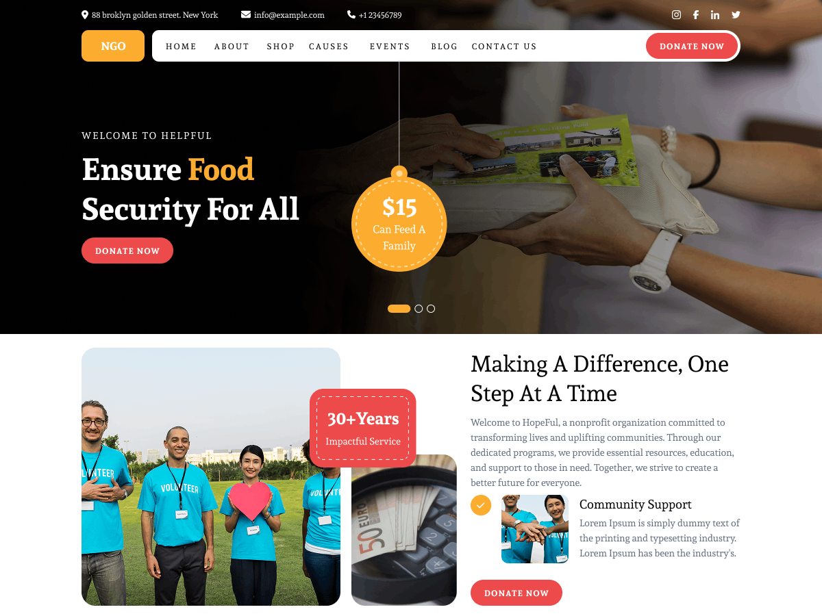 NGO Disaster Relief theme screenshot
