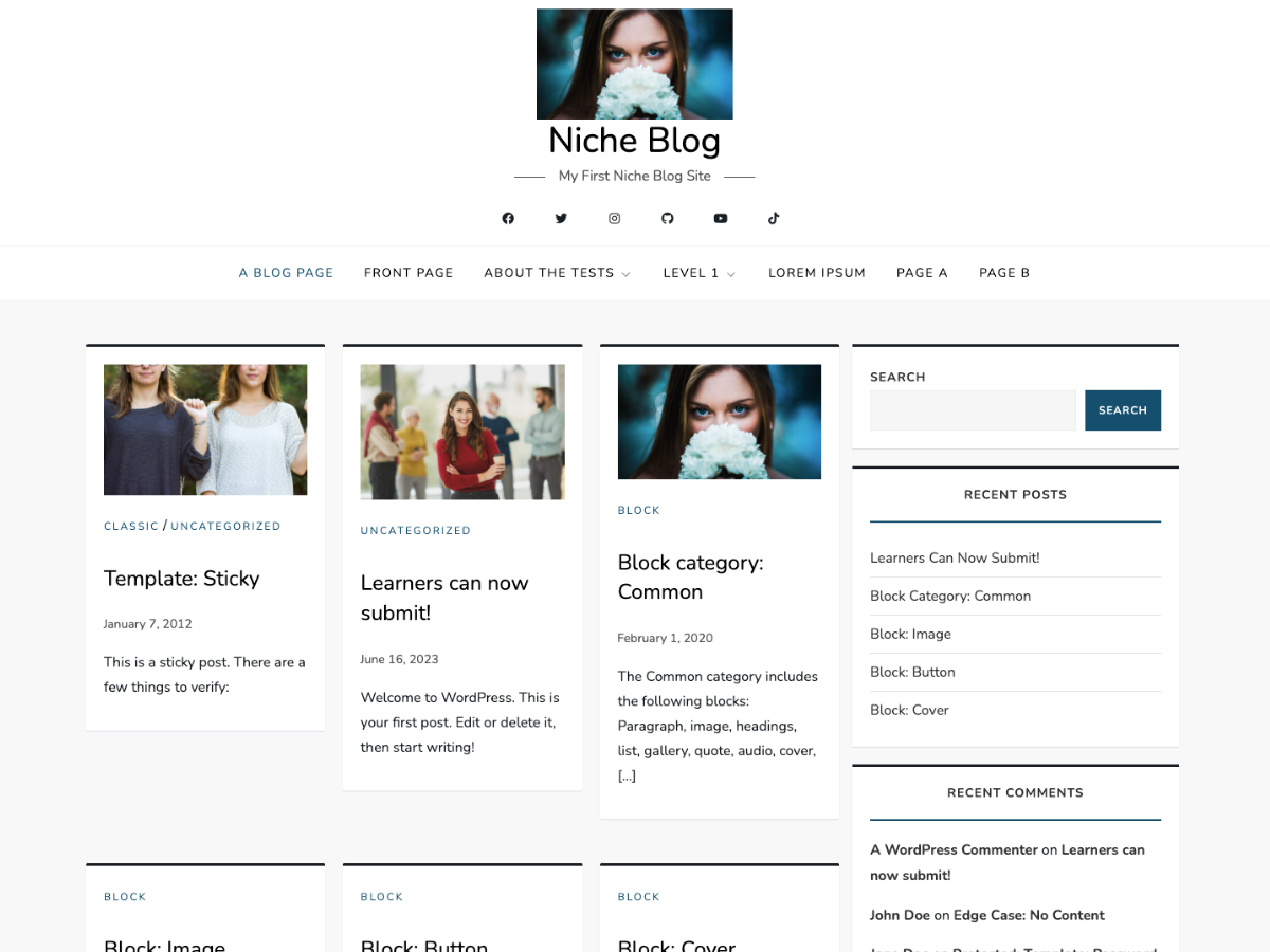 Niche Blog theme screenshot