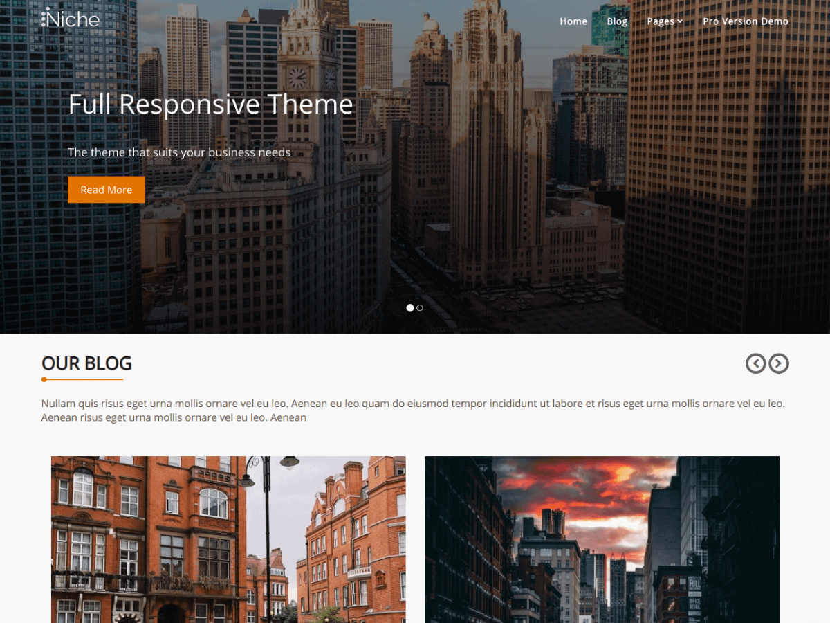 Niche theme screenshot