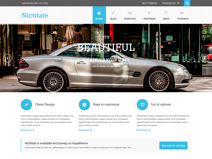 Nictitate Lite theme screenshot