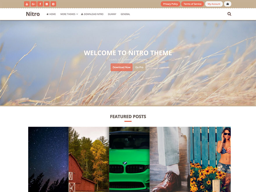 Nitro theme screenshot