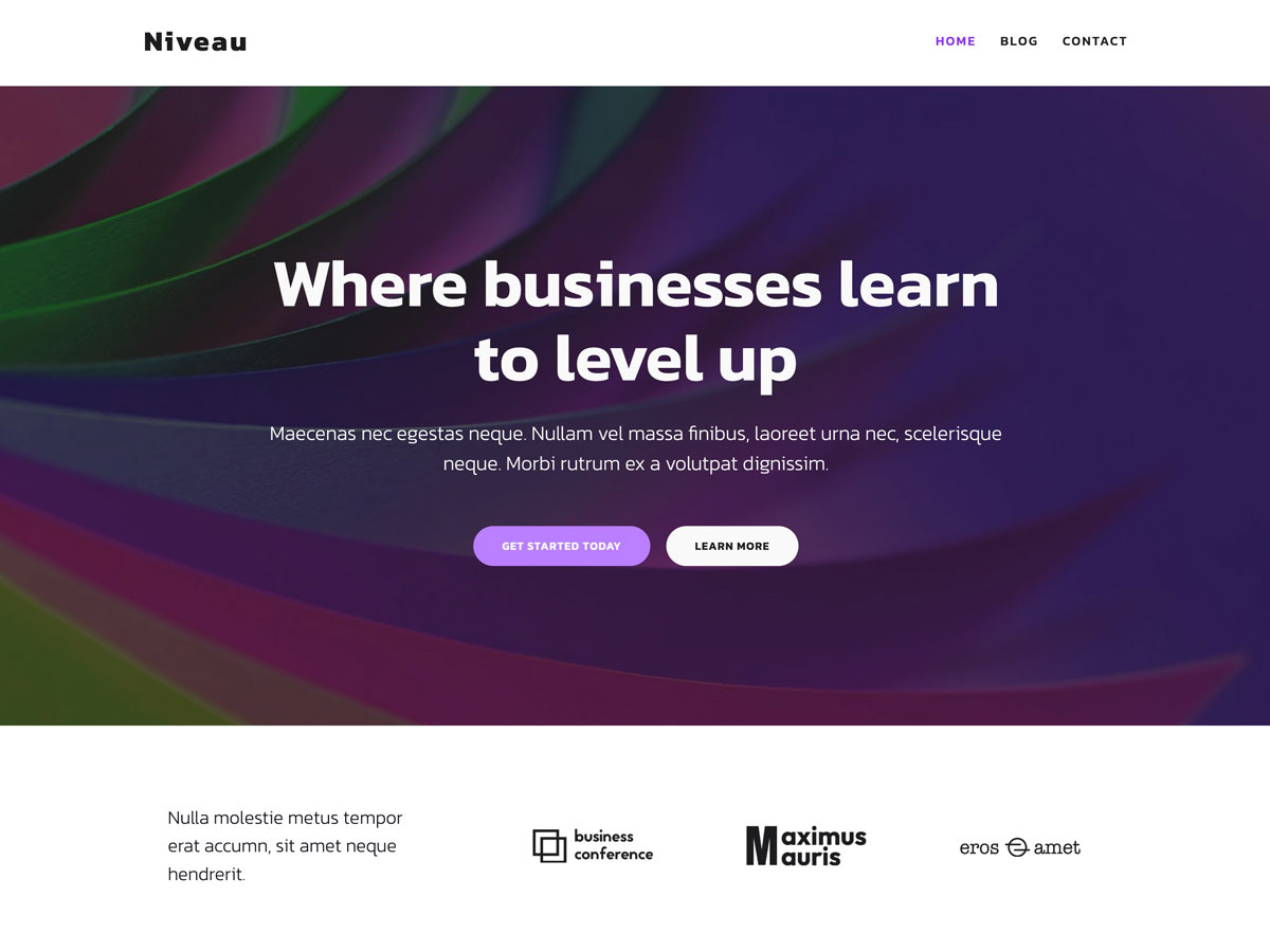 Niveau theme screenshot