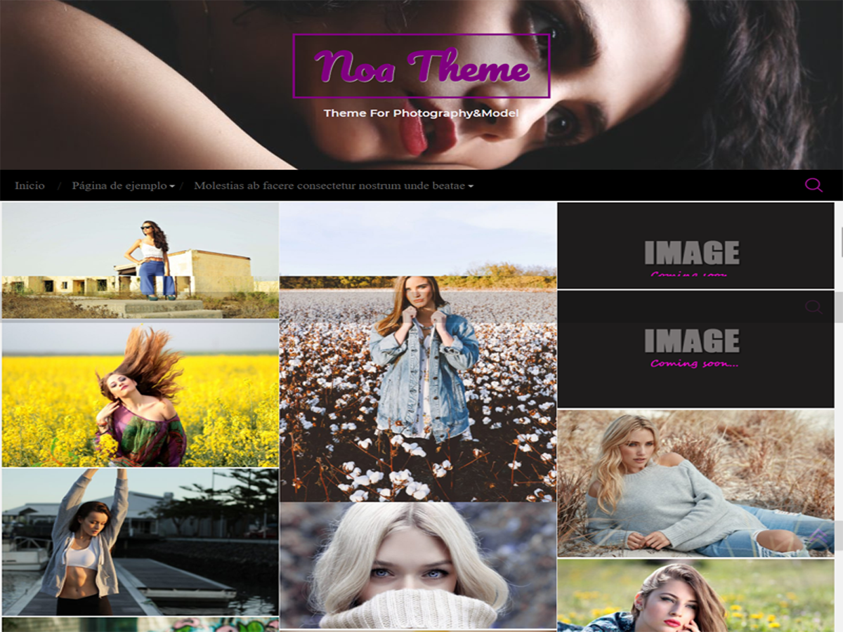 noa theme screenshot