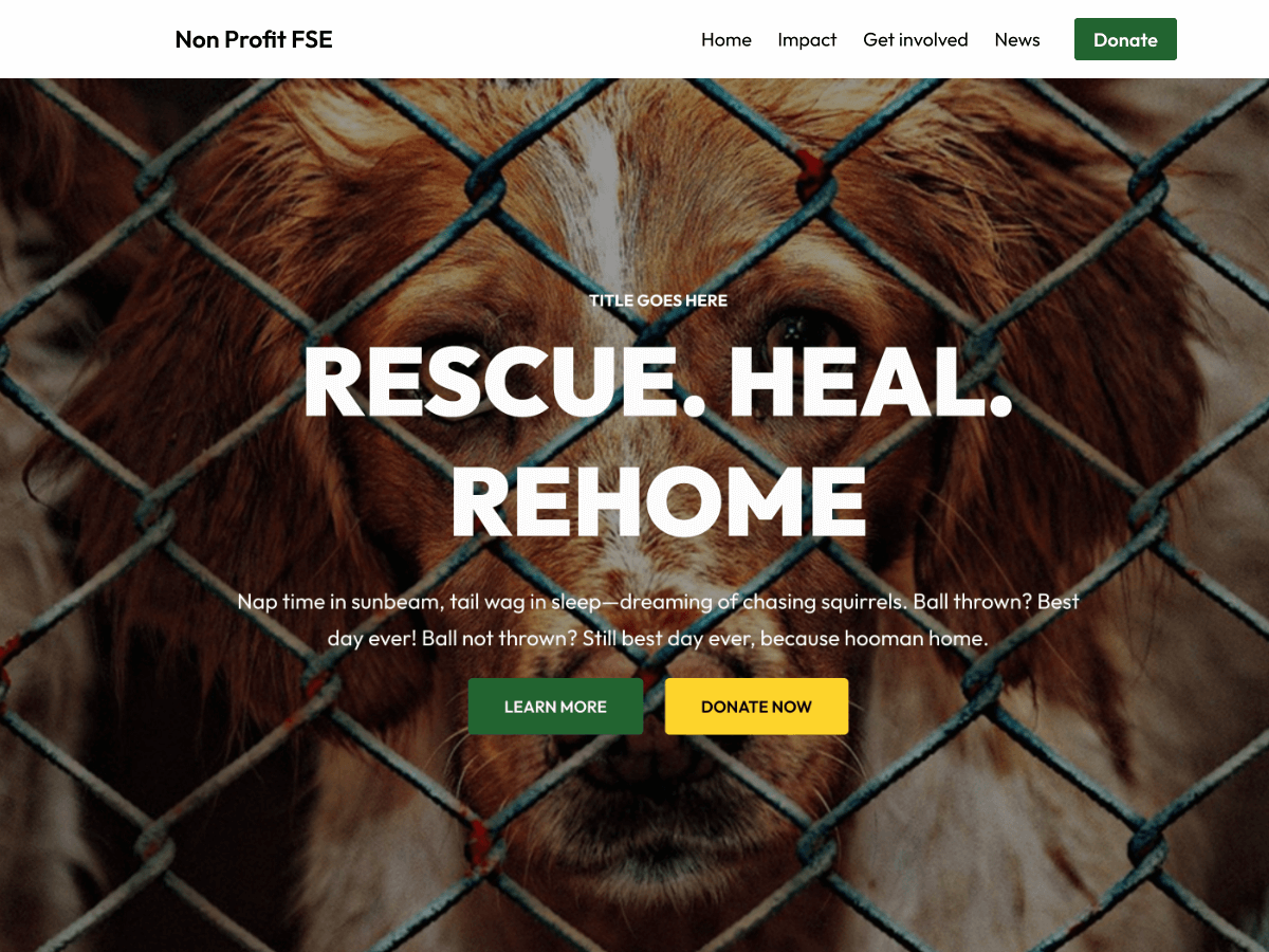 Non Profit FSE theme screenshot